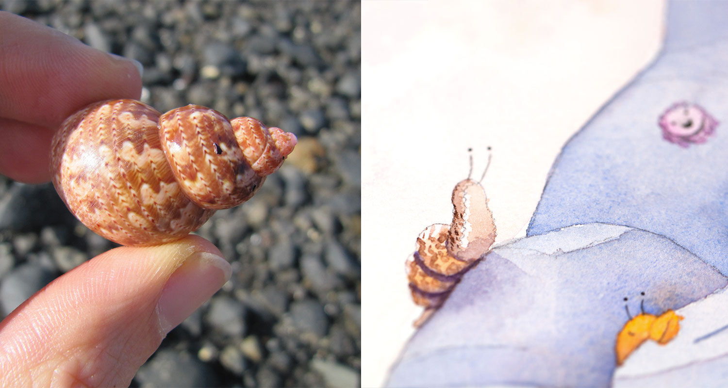 A comparison image showing how a shell he found at a rockpool turned in to one of the characters in Queen Celine