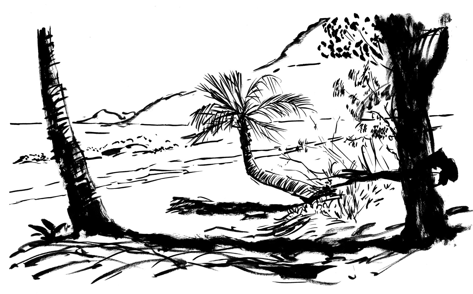 Ink sketch of Thala Beach Lodge Private Beach